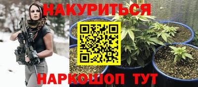 прущие грибы Камышлов