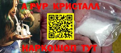 прущие грибы Камышлов