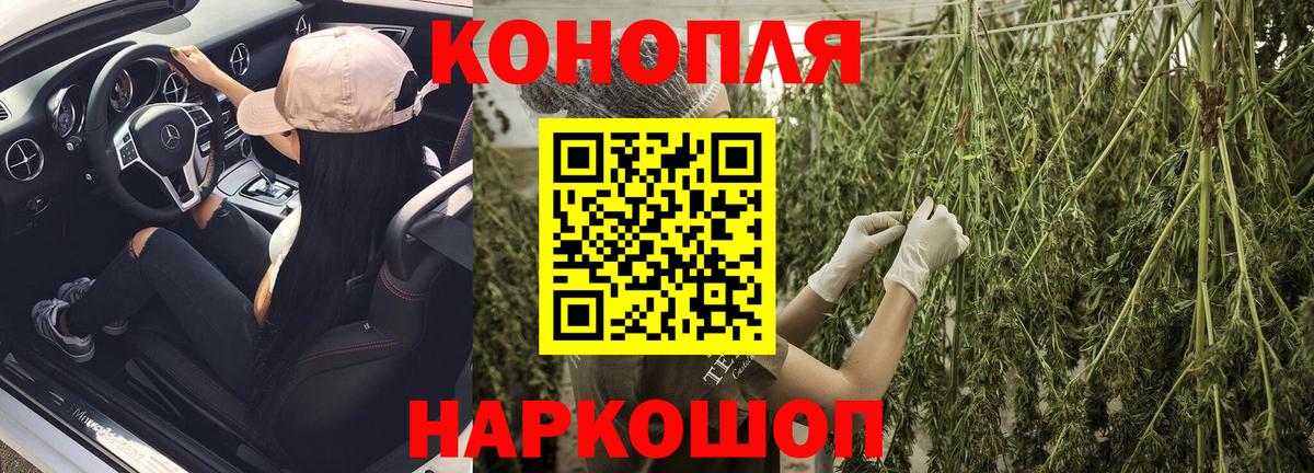 Бошки Шишки марихуана Кузнецк